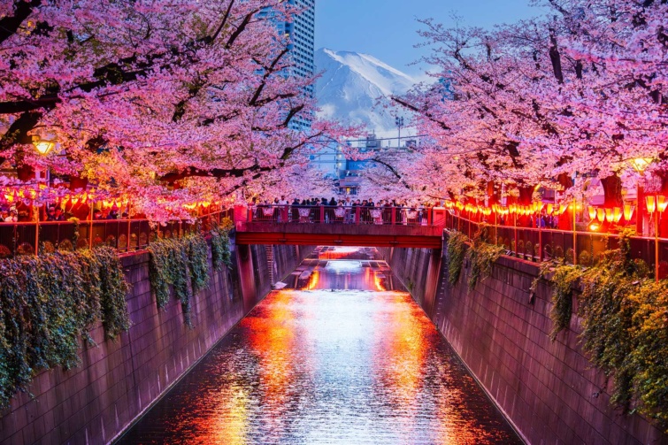 cseresznyeviragzas - Startlap Utazás Cseresznyevirágzás Japán