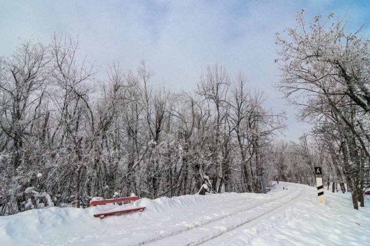 A Normafa vastag hótakaró alatt