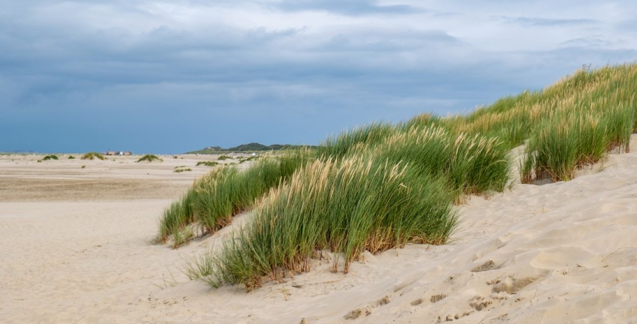 Norderney, tengerpart.