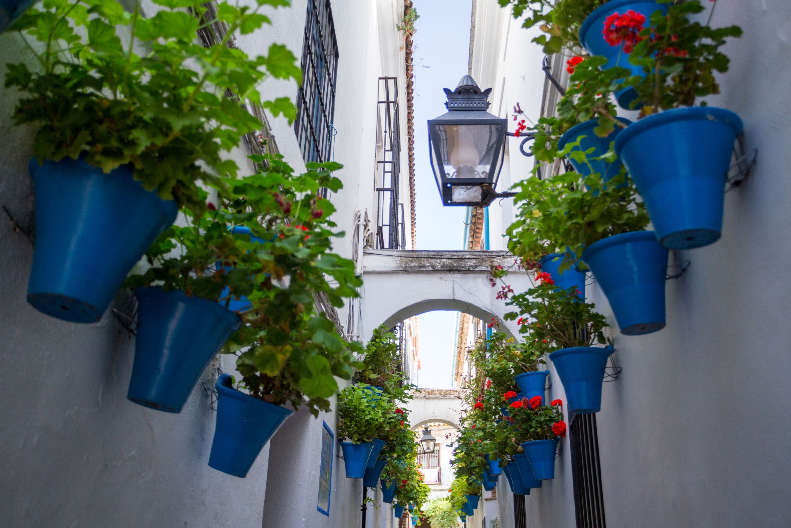 A Calleja de las Flores Spanyolország egyik legtöbbet fotózott helyszíne.