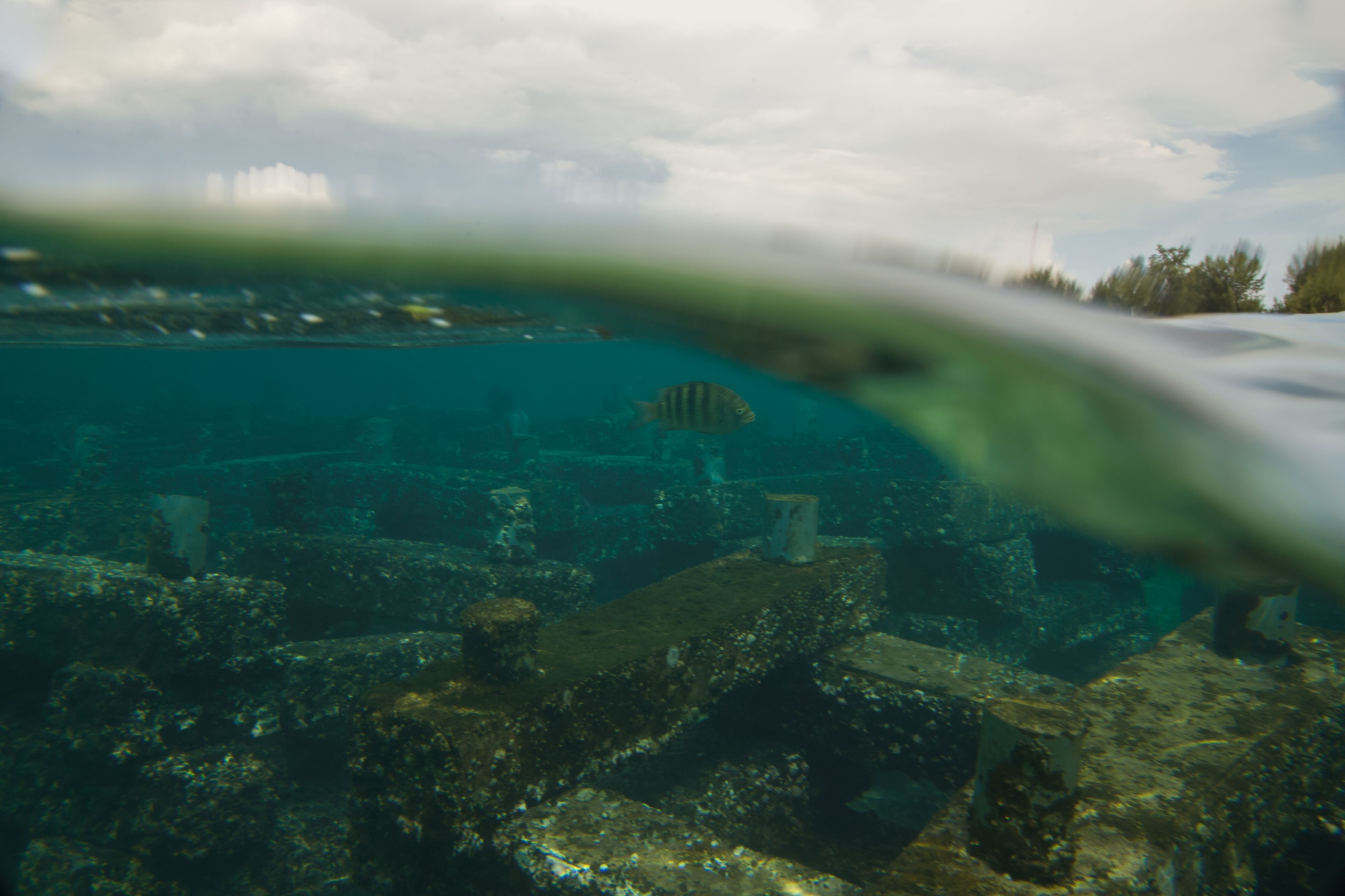 Gili Trawangan szigete teljesen autómentes.