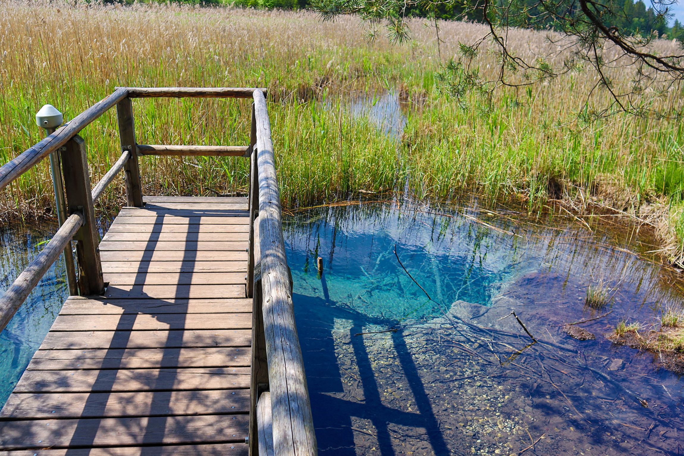 Az Ostersee-tóvidék Felső-Bajoroszágban.