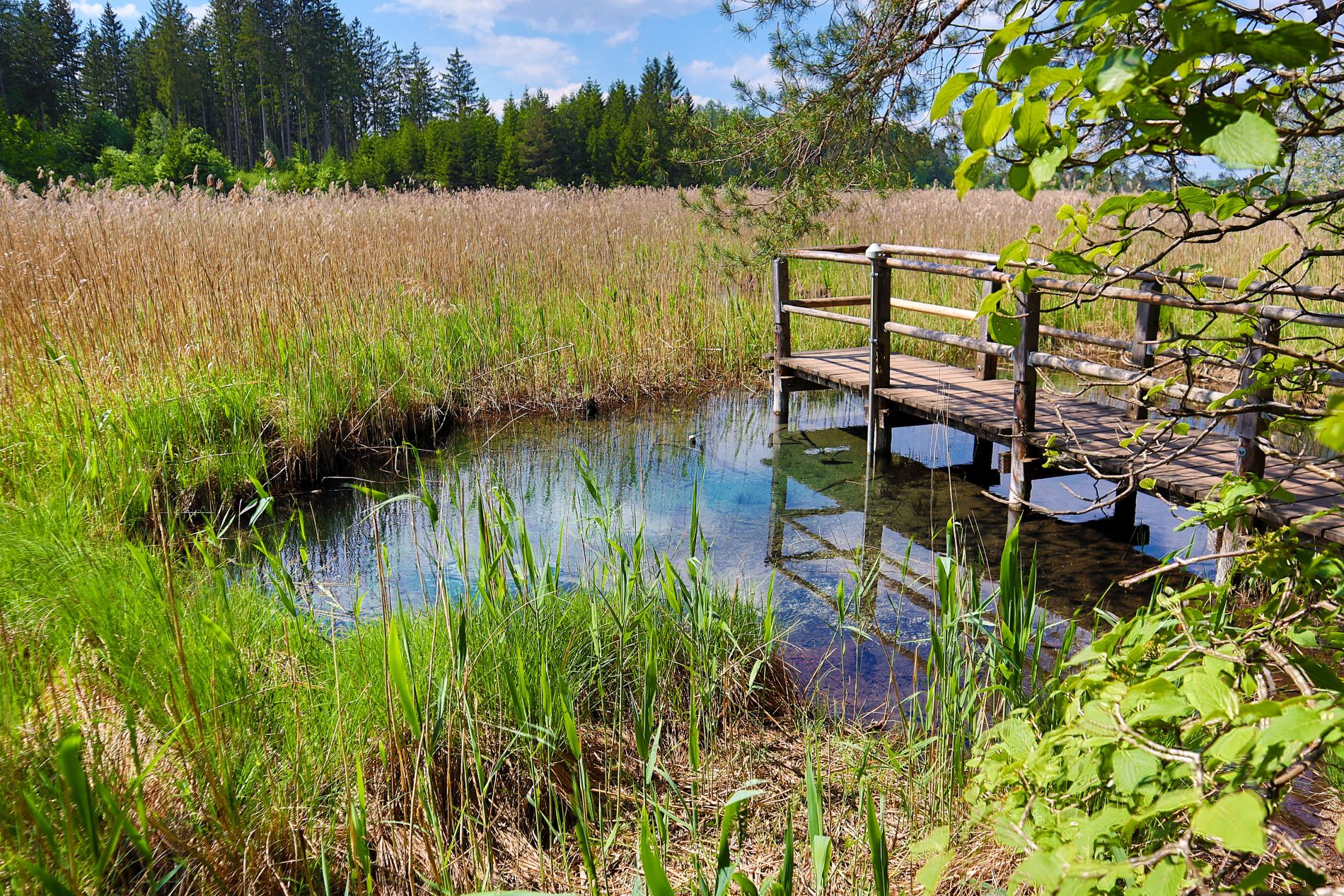 Az Ostersee-tóvidék Felső-Bajoroszágban.