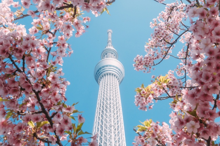 Skytree Tokyo