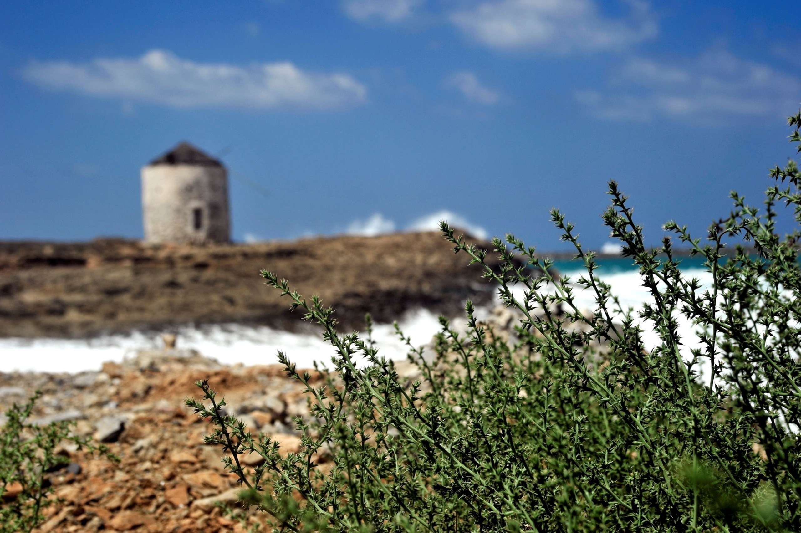 Régi építmény és növények a tengerparton.