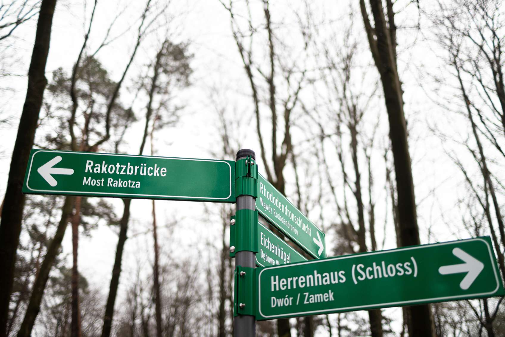 Híd felé vezető tábla az erdőben