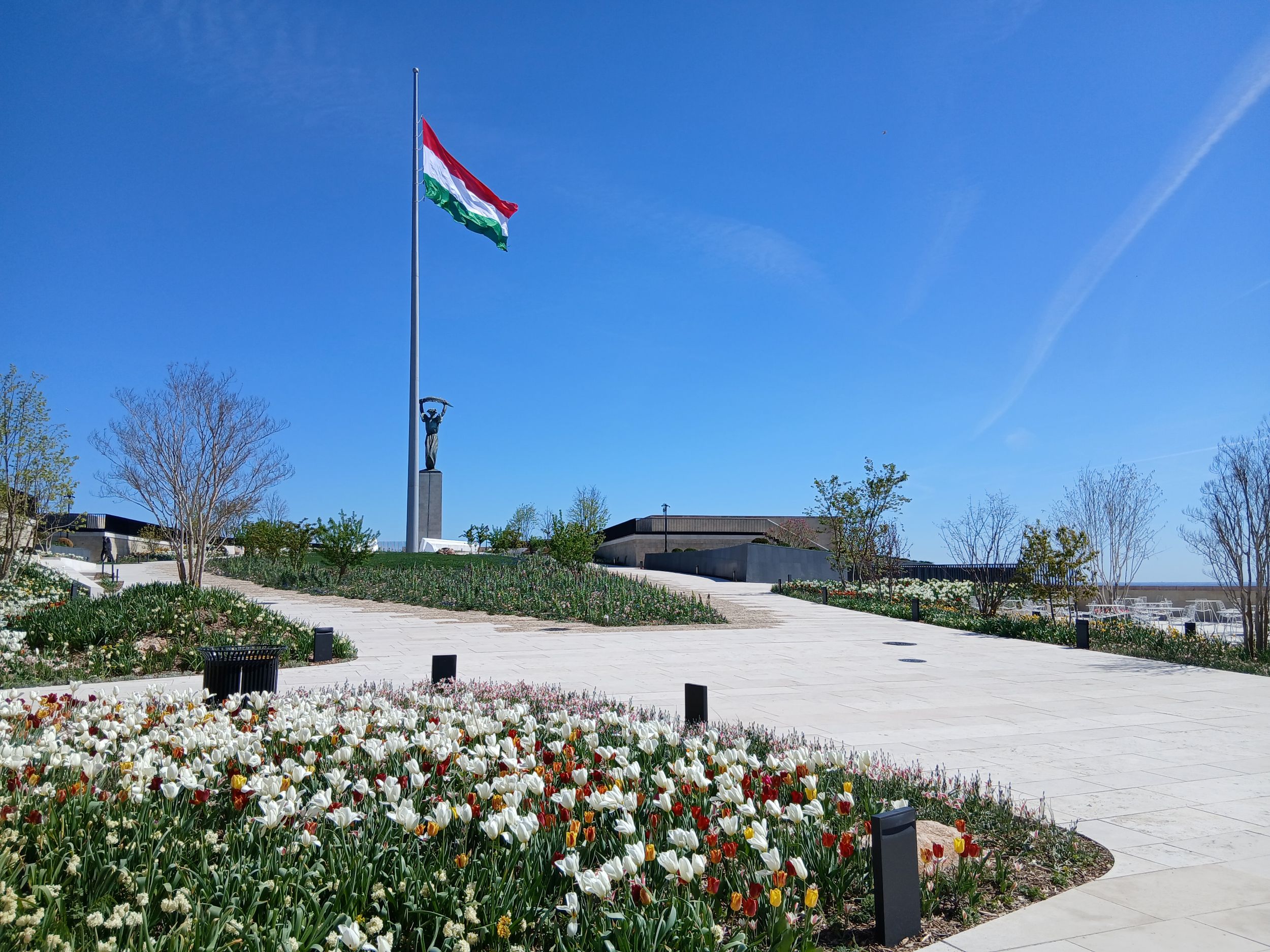 Virágok, háttérben a Szabadság-szobor.