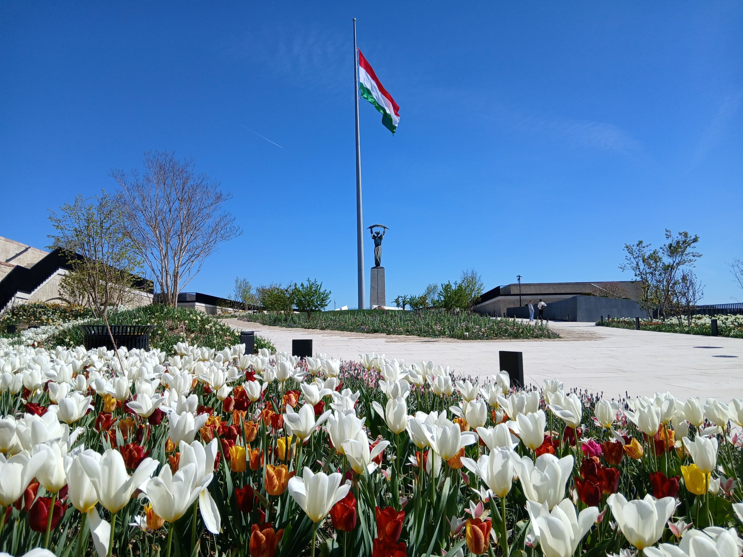 Virágok, háttérben a Szabadság-szobor.