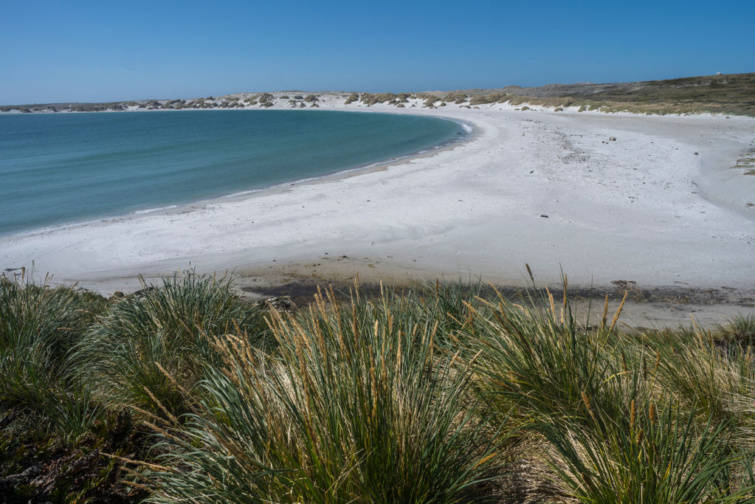 Vad növényes homokos tengerpart
