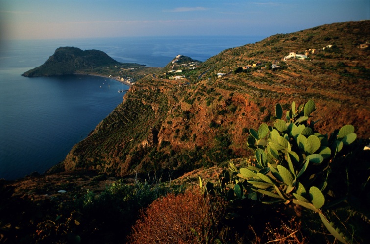 Sziklás, cserjés sziget tengerpartja.