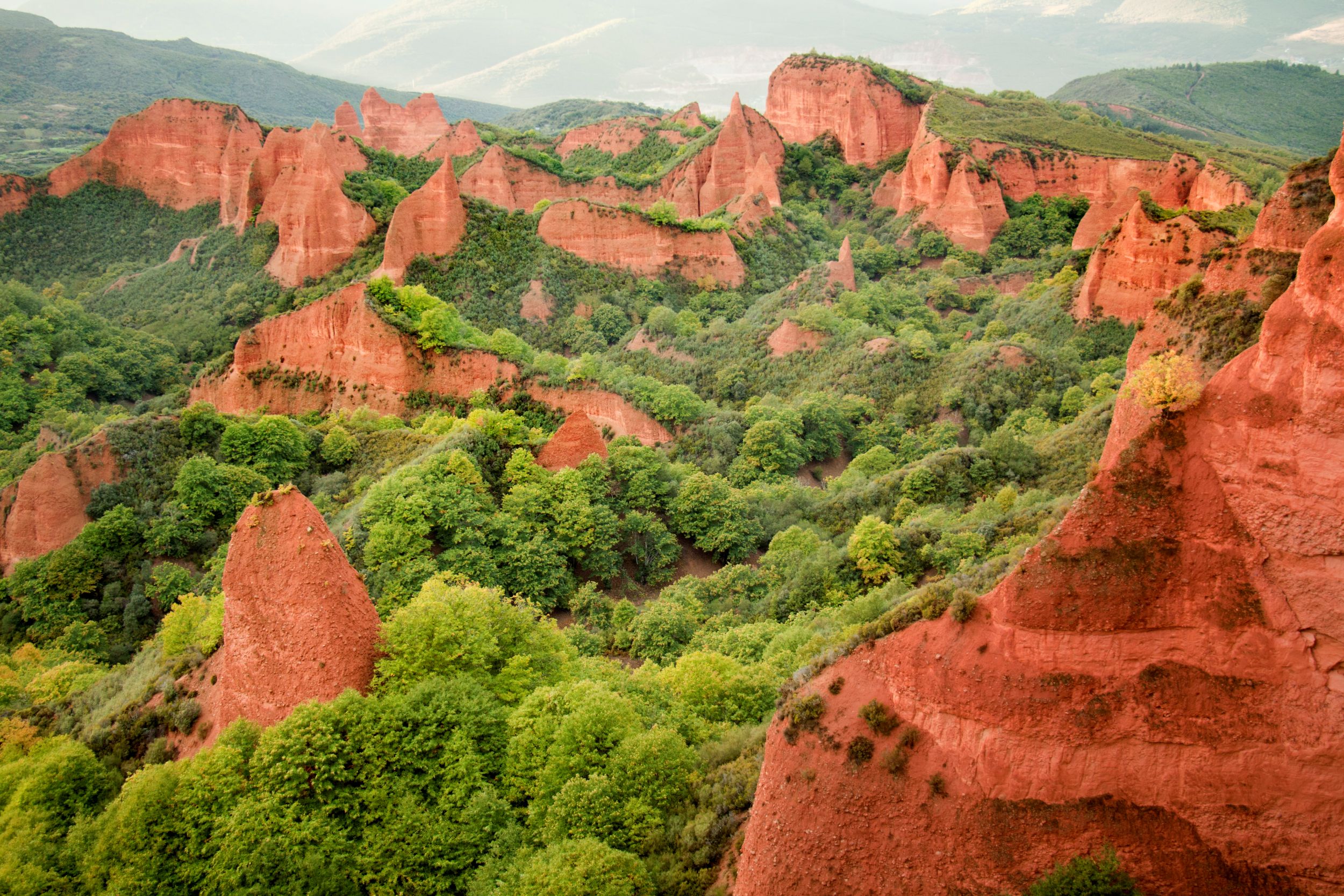 Vörös sziklafalak zöld erdők között.