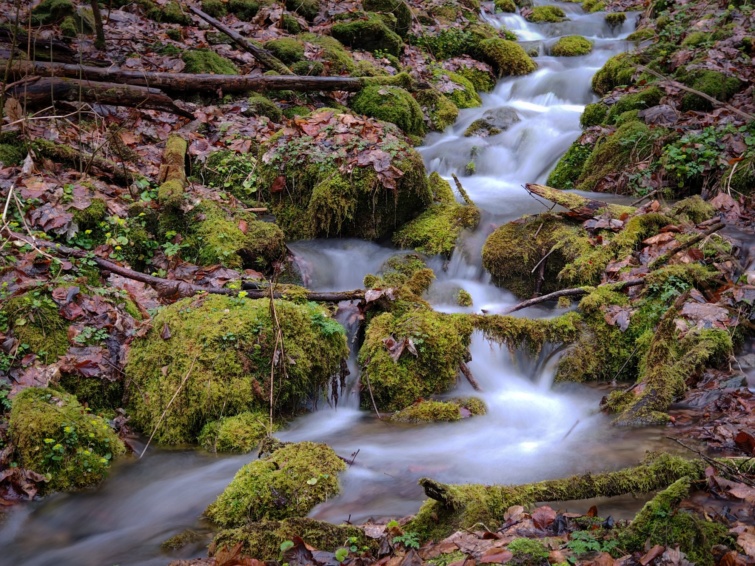 Kristálytiszta víz folyik mohás kövek között egy erdei völgyben Lillafüred közelében, a Bükk-hegységben, egy esős tavaszi napon.