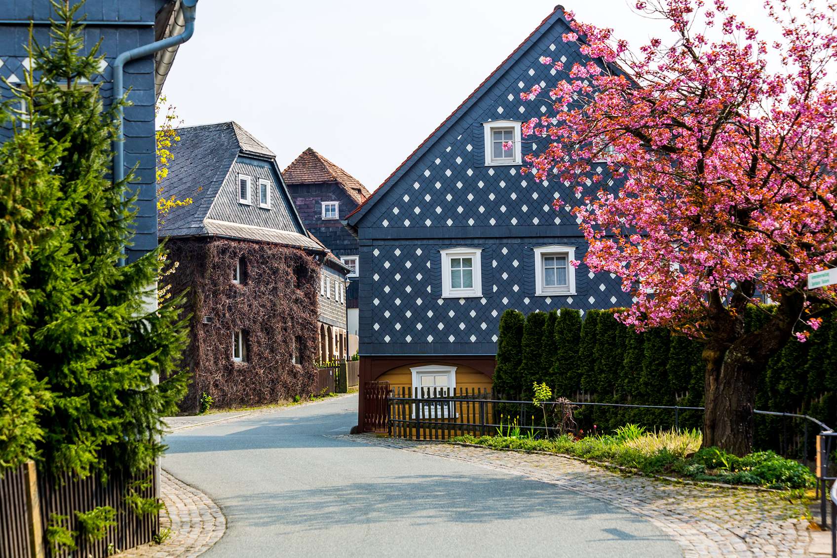 Virágzó cseresznyefa a háttérben mintás mesebeli házak