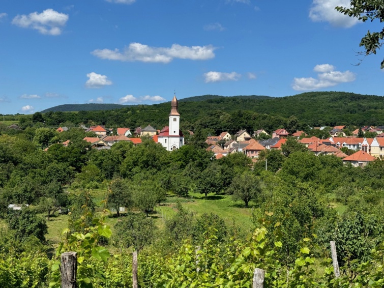 Fehér templom egy faluban, zöld fákkal.