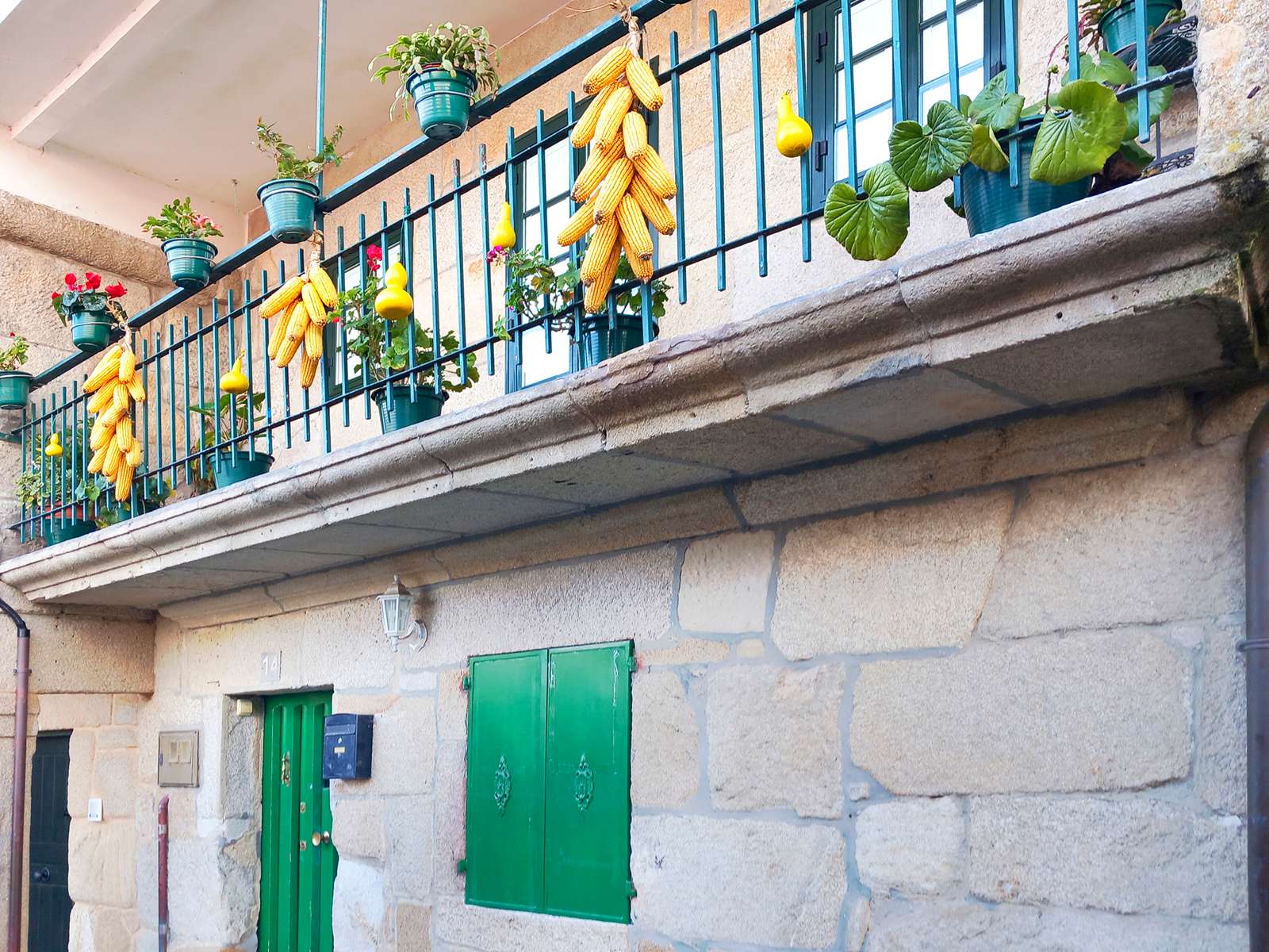 Erkélyre akasztott kukorica