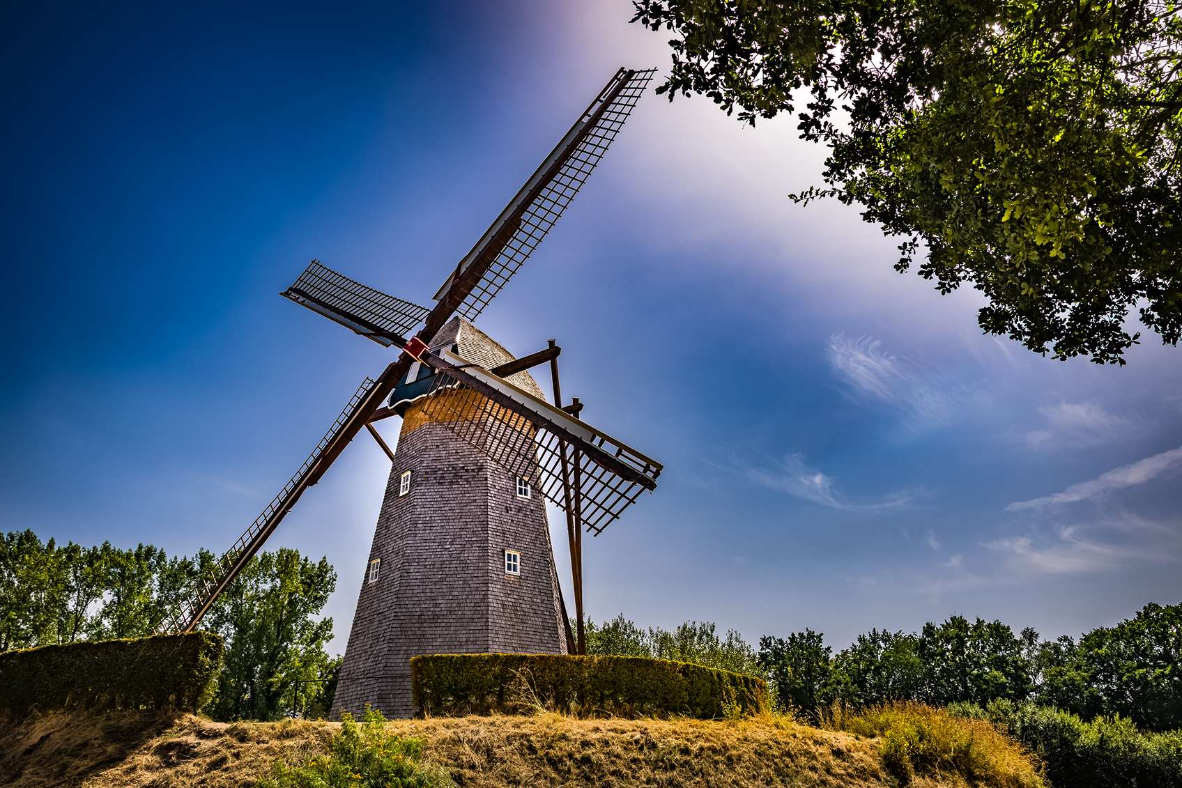 szélmalom