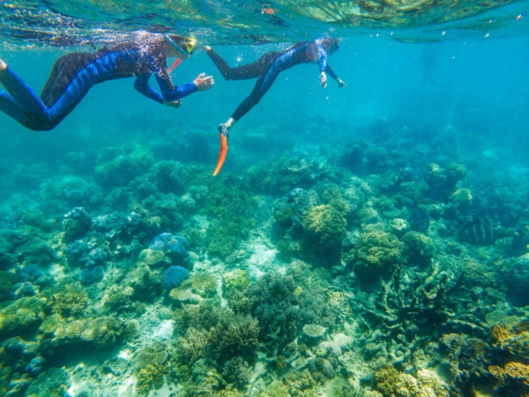 ausztralia snorkel_11zon - Startlap Utazás snorkelezők a víz alatt