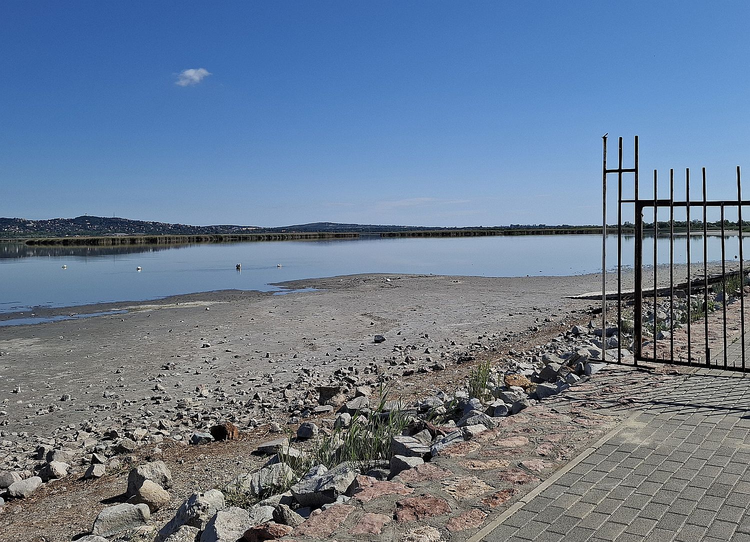 Kiszárdat partszakasz kerítéssel a Velencei-tavon.
