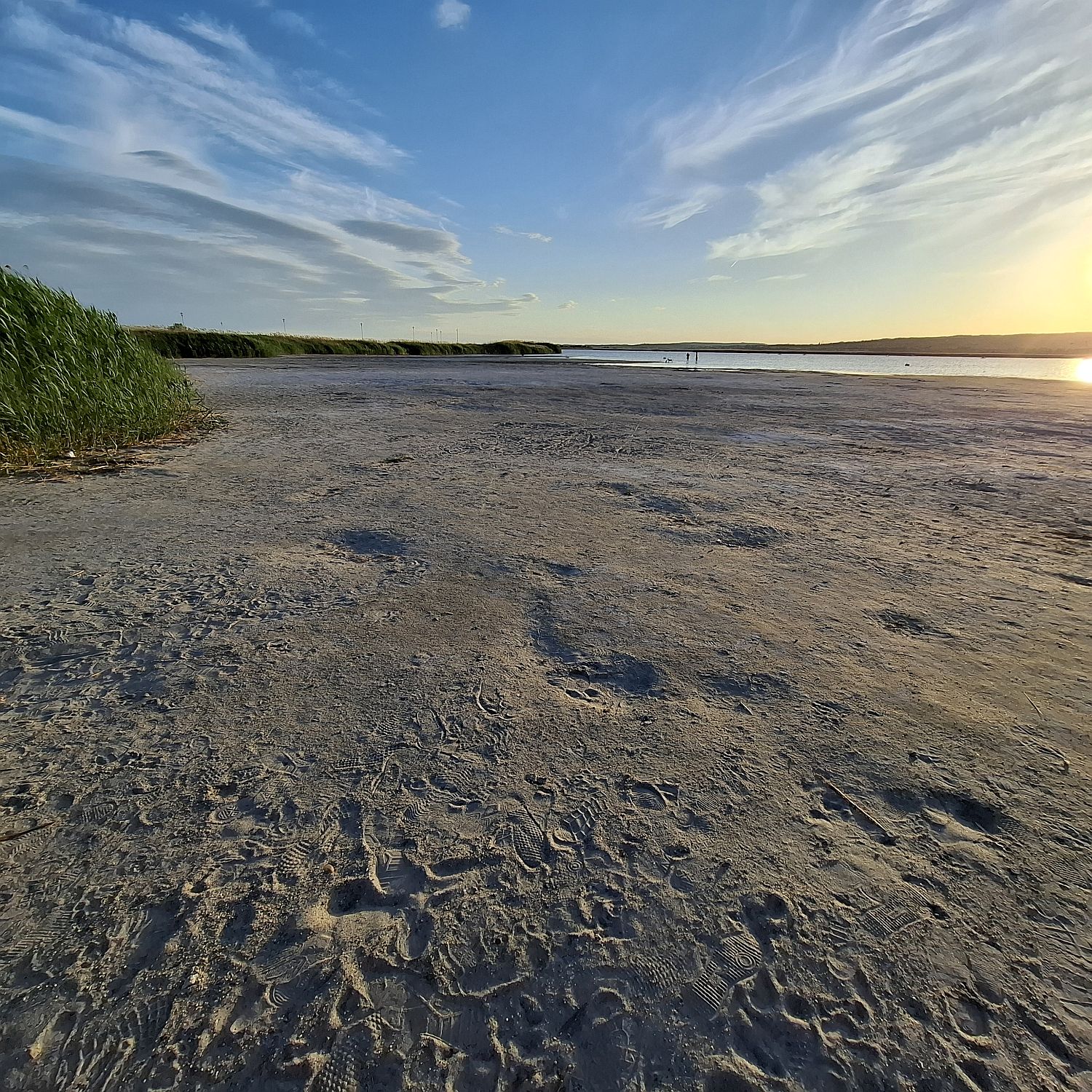 Kiszáradt strandszakasz a Velencei-tavon Velencénél.