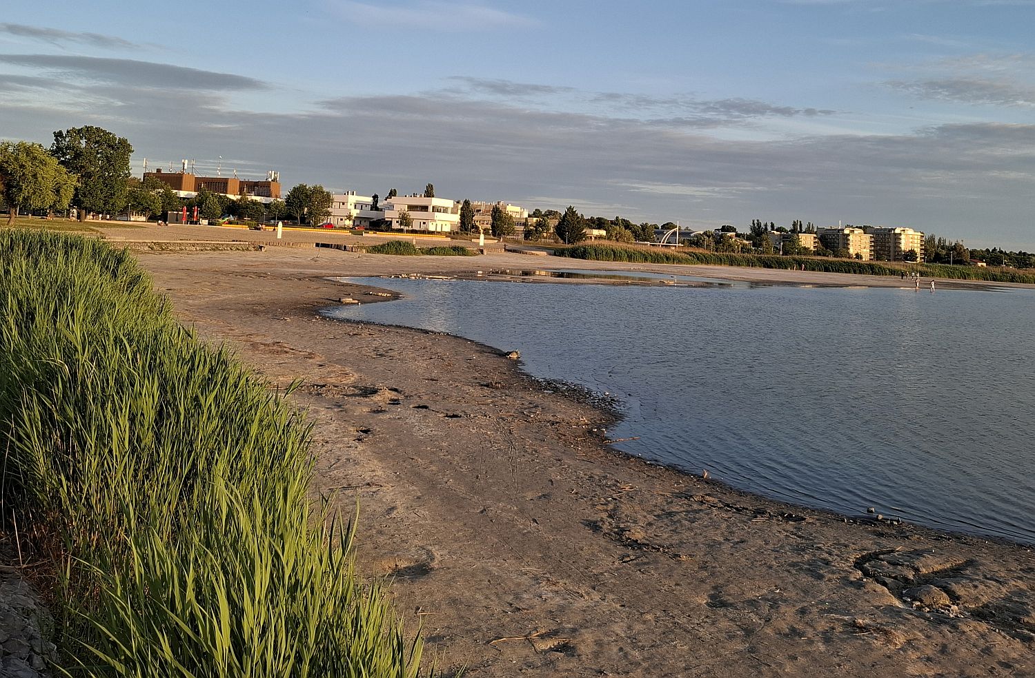 Kiszáradt strandszakasz a Velencei-tavon Velencénél.