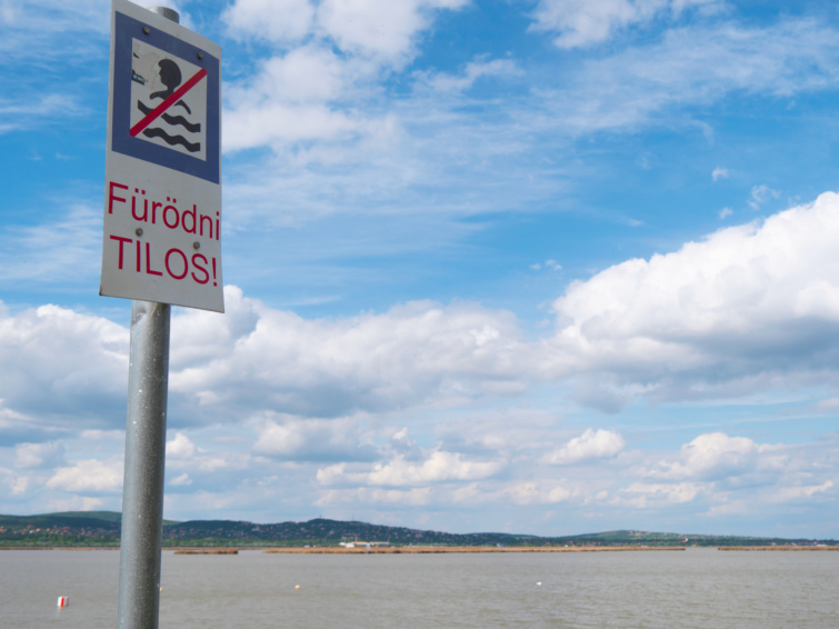 bakteriális szennyezés a Velencei-tónál - Startlap Utazás "Fürödni TILOS" tábla a Velencei-tó partján"Fürödni TILOS" tábla a Velencei-tó partján