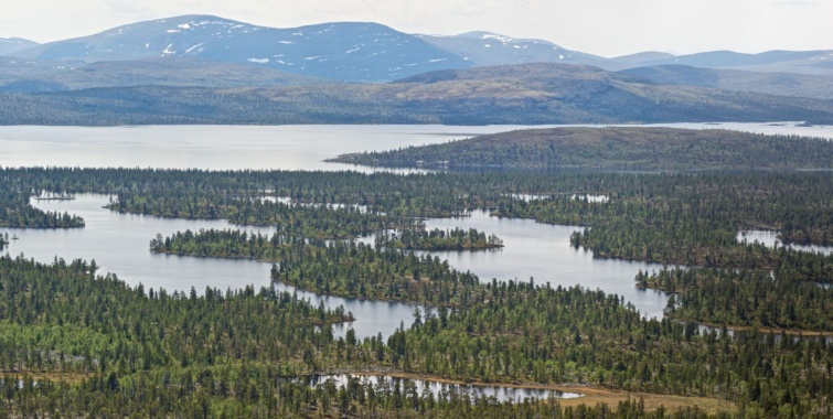 A képen az egyik meglátogatható helyszín, a Rogen Nature Reserve látható. 