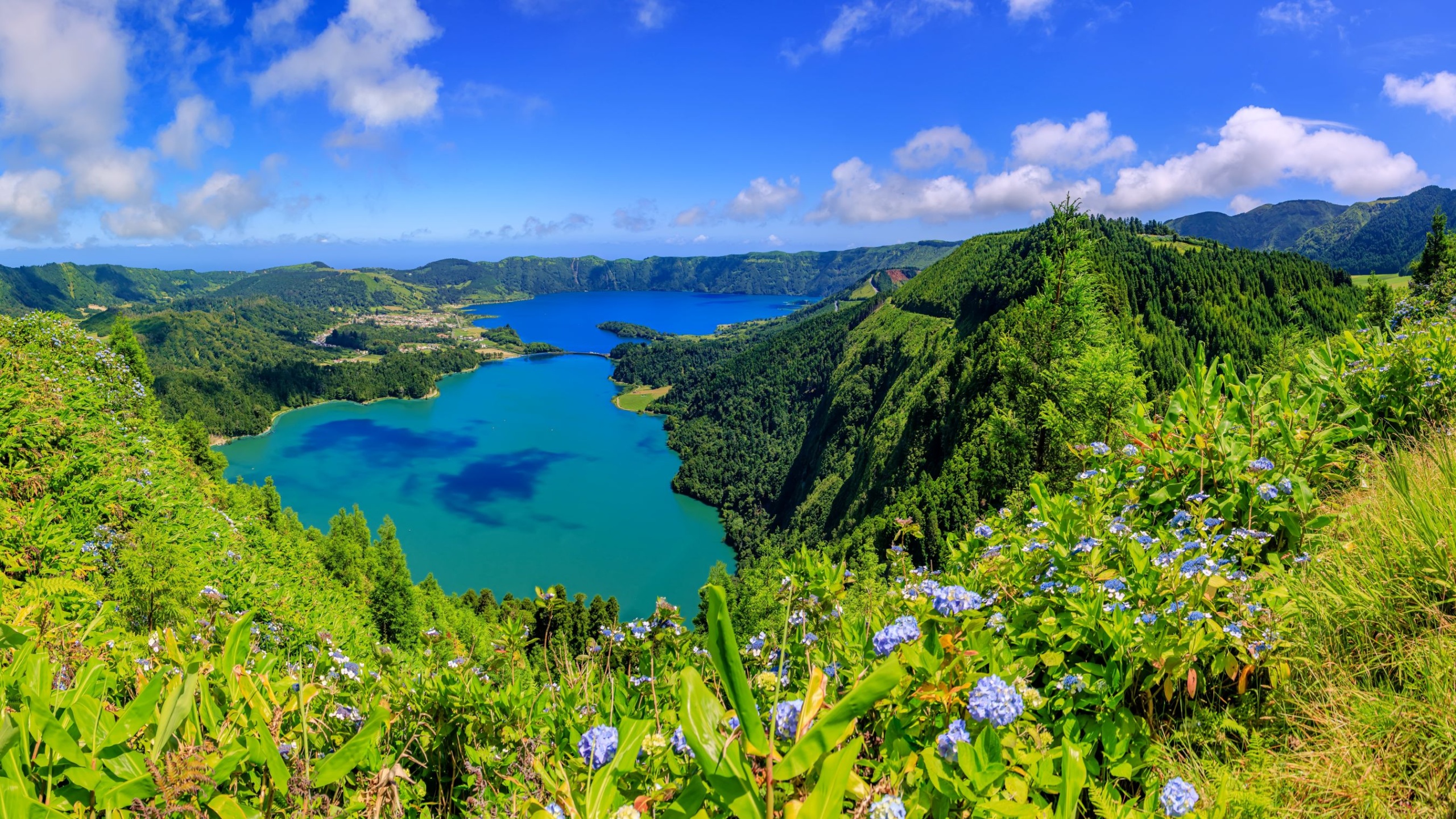 Panorámakép a kék vizű Lagoa Azul krátertóról és a mellette fekvő zöld lagúnáról; a látványt meredek, erdős lejtők és az előtérben látható kék hortenziák keretezik