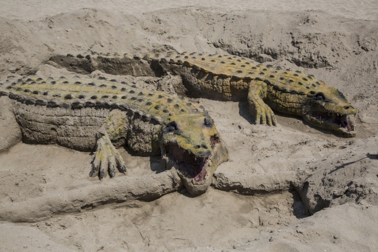homokkrokodil - Startlap Utazás Homokkrokodilok egy strandon