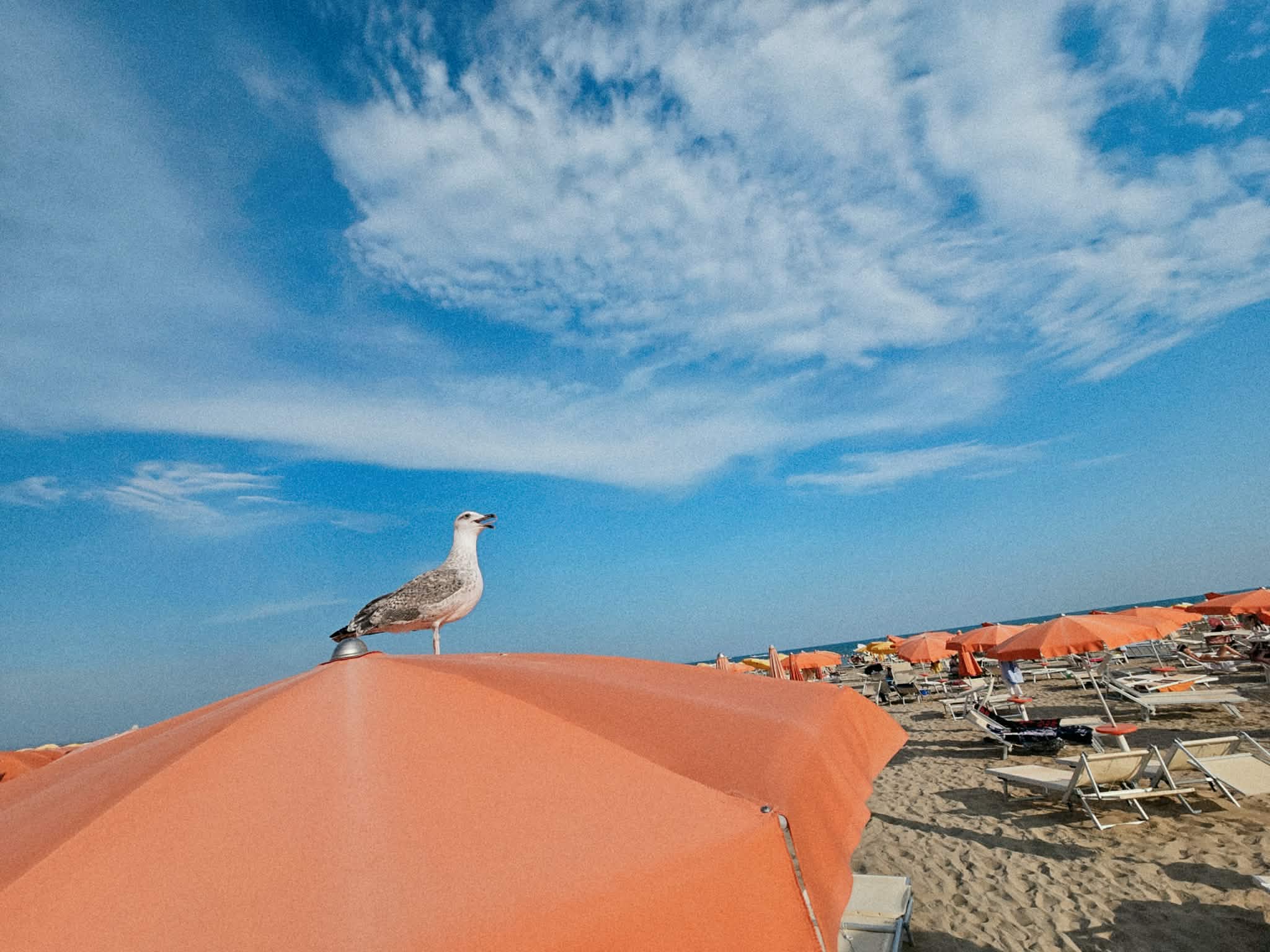 lignano siraly - Startlap Utazás