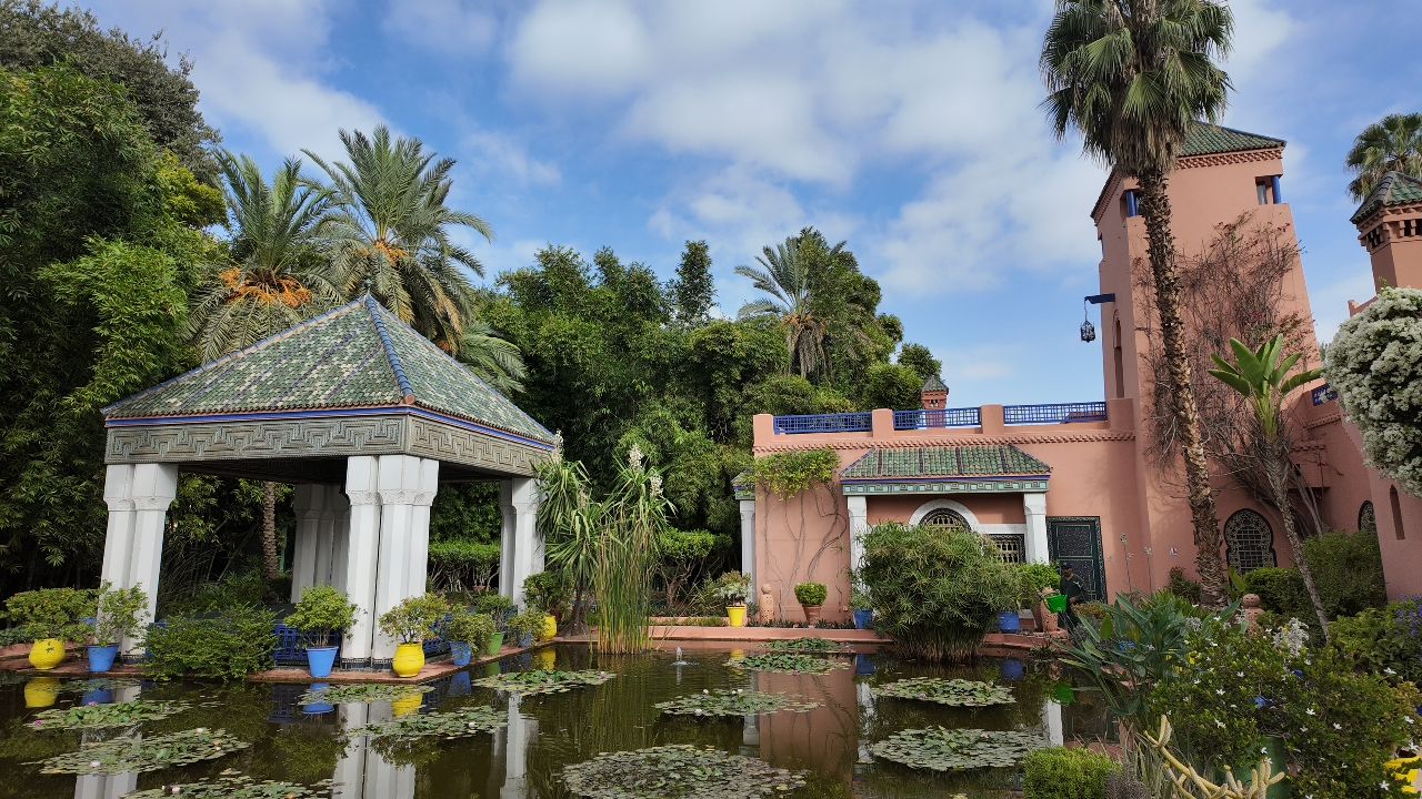 A Jardin Majorelle csendképe. Mesterséges tó, színes cserepes növények, tavirózsák, és ékszerdobozhoz hasonlító épületek teszik látványossá a botanikus kertet.