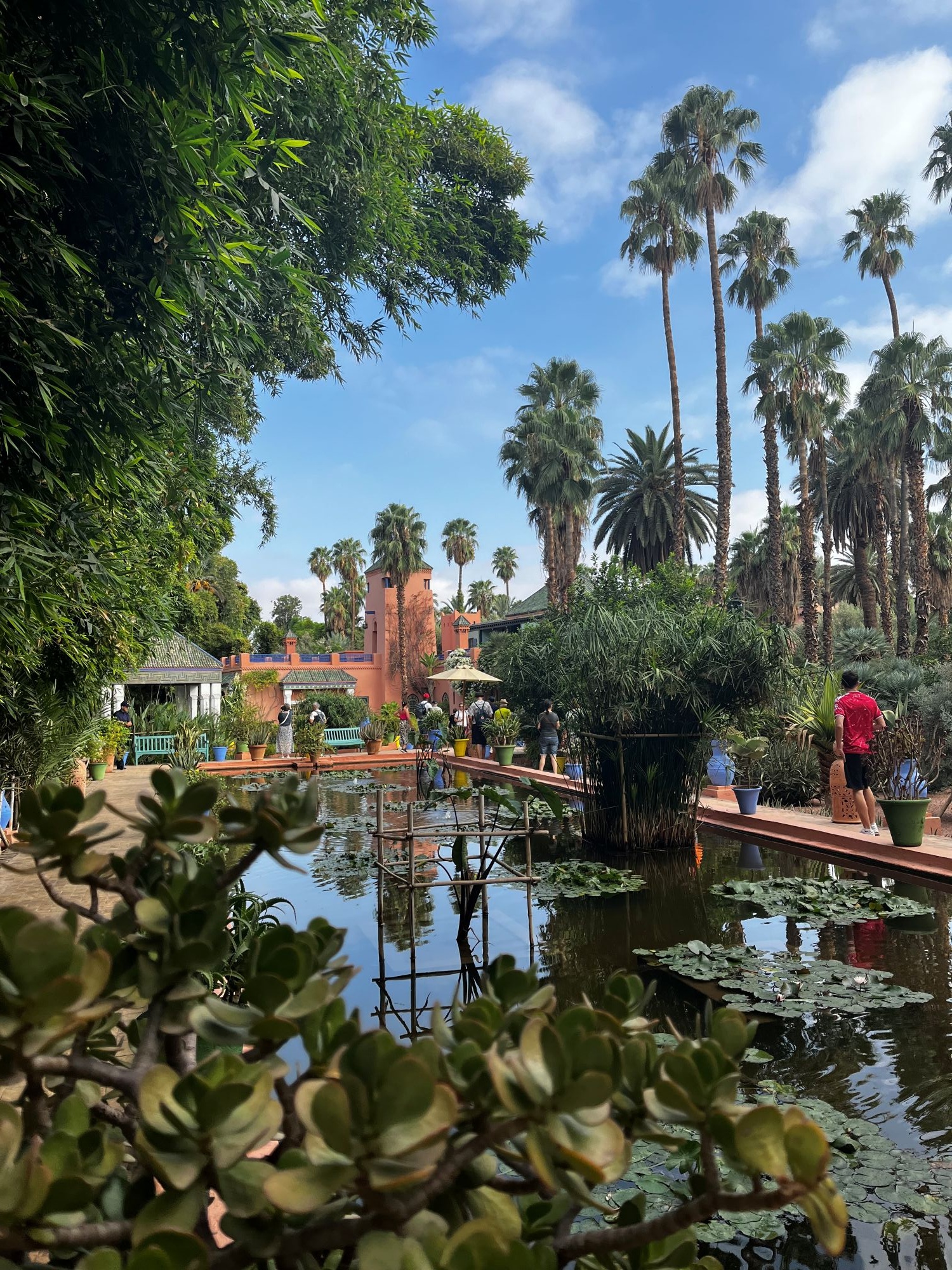 IMG_4330 - Startlap Utazás A Jardin Majorelle csendképe. Pálmafák, hatalmas kaktuszok, mesterséges tó, színes cserepes növények, tavirózsák, és ékszerdobozhoz hasonlító épületek teszik látványossá a botanikus kertet.