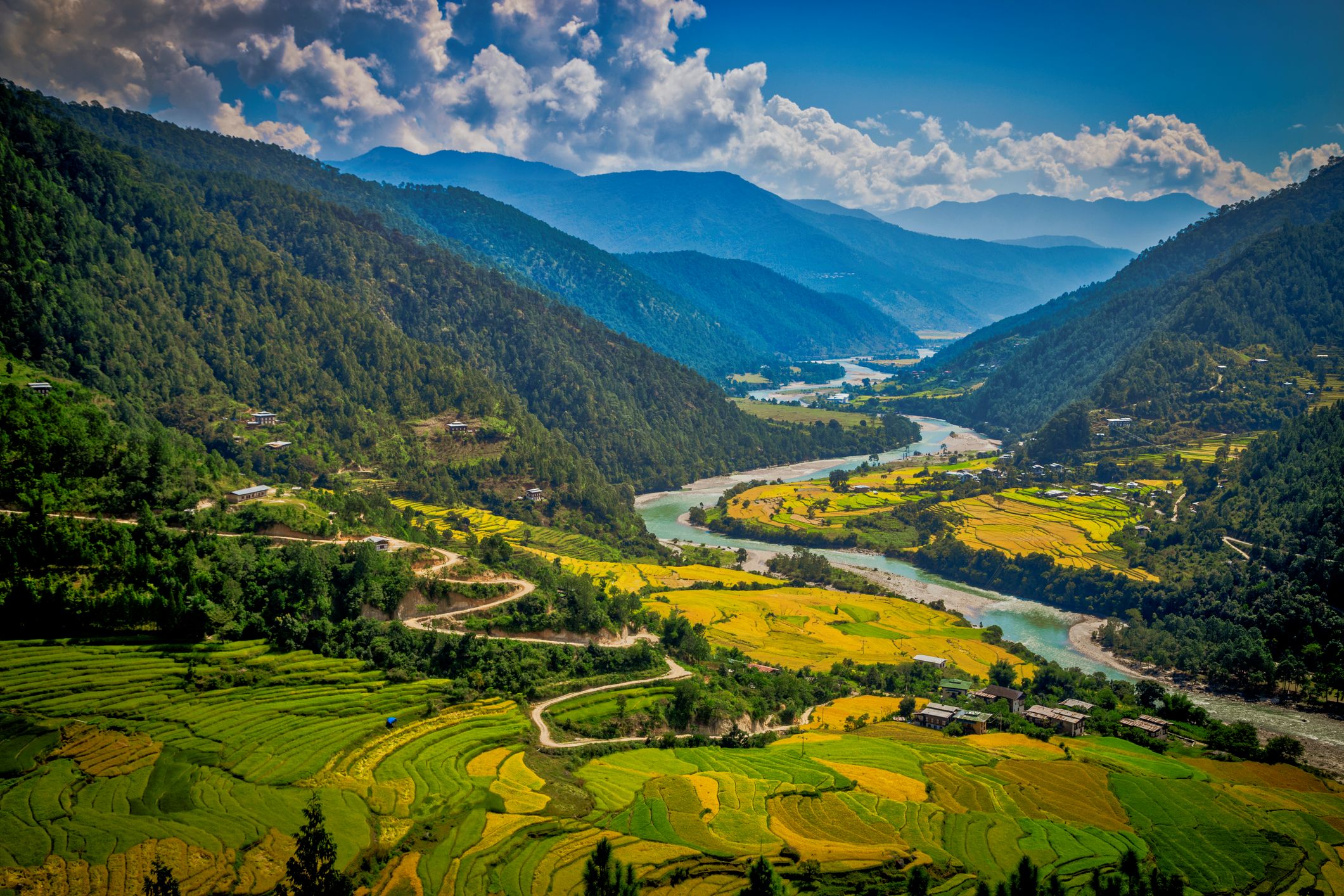 Punakha-völgy, Bhután