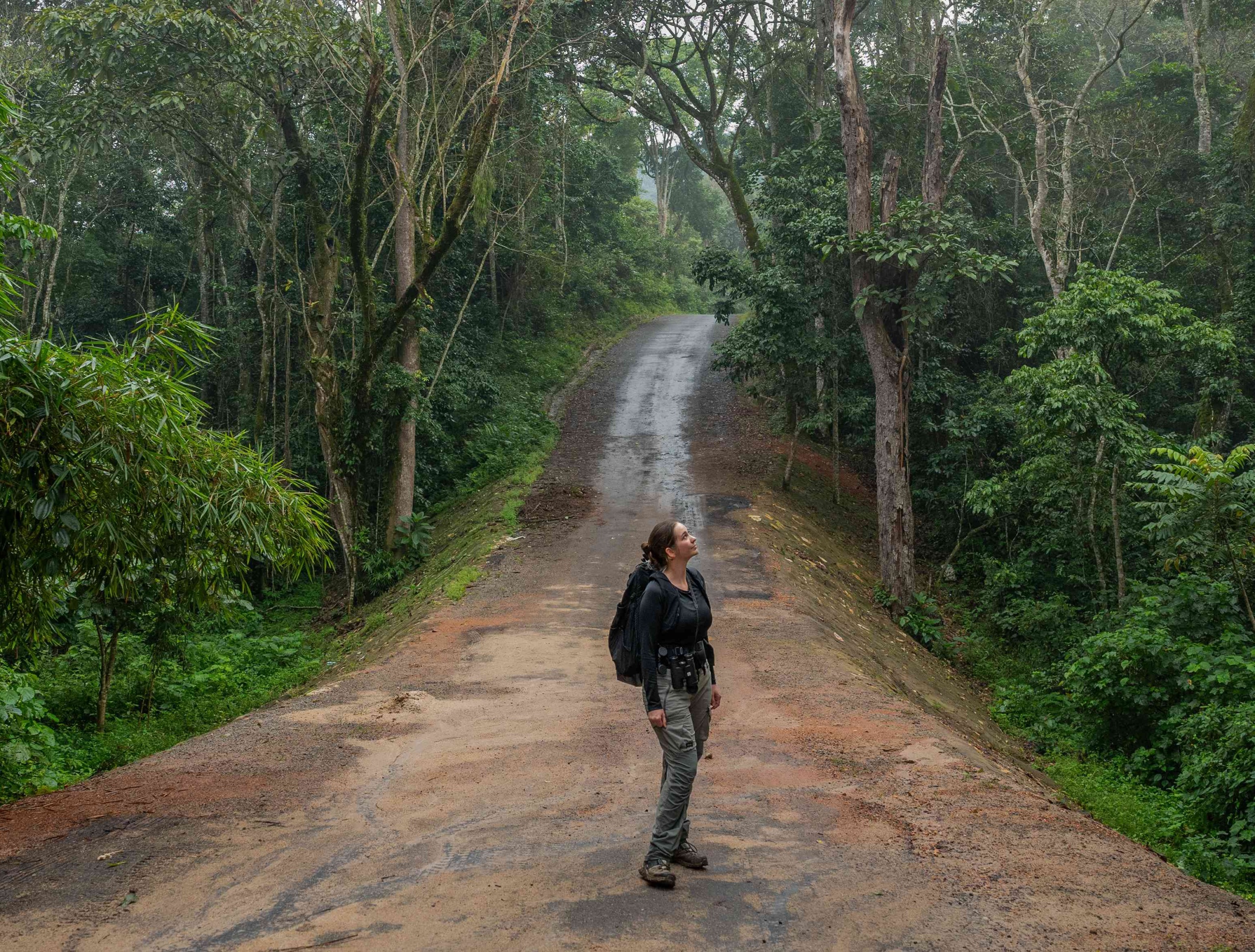 fiatal lány a dzsungelben