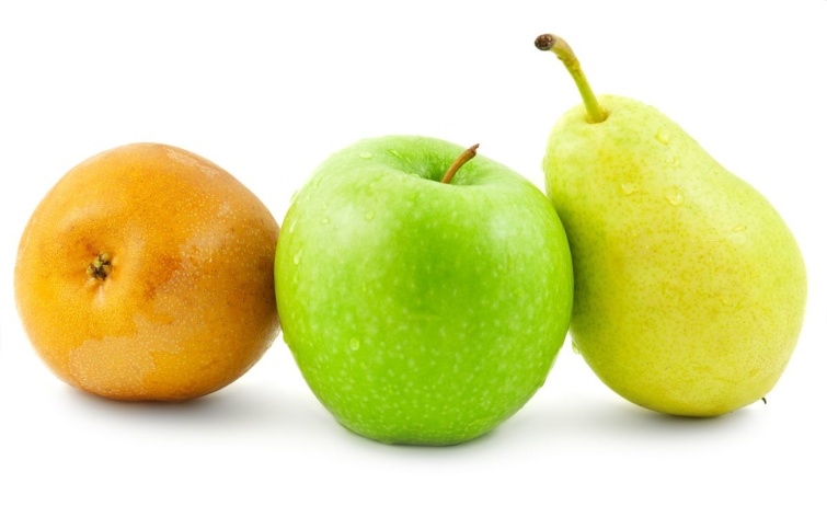 almakorte Startlap Vásárlás