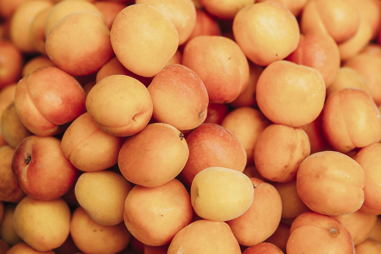 Az egyik legfinomabb gyümölcs, a kajszibarack