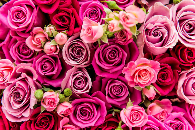 Rózsaszín rózsák nagy csokorban - egyre több pénzt költenek Valentin-napra a magyarok