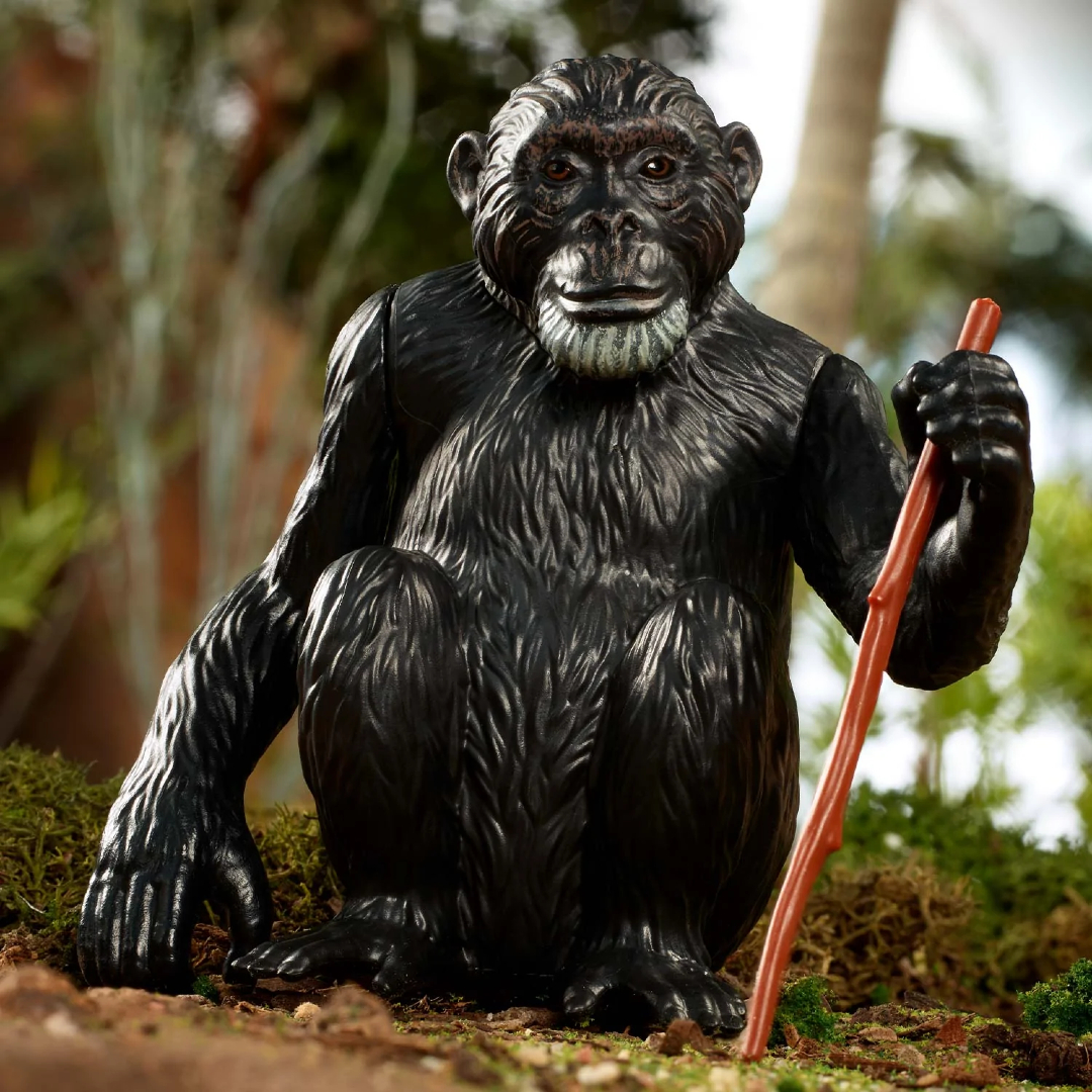 Daviddel, a csimpánzzal rengeteget foglalkozott Goodall