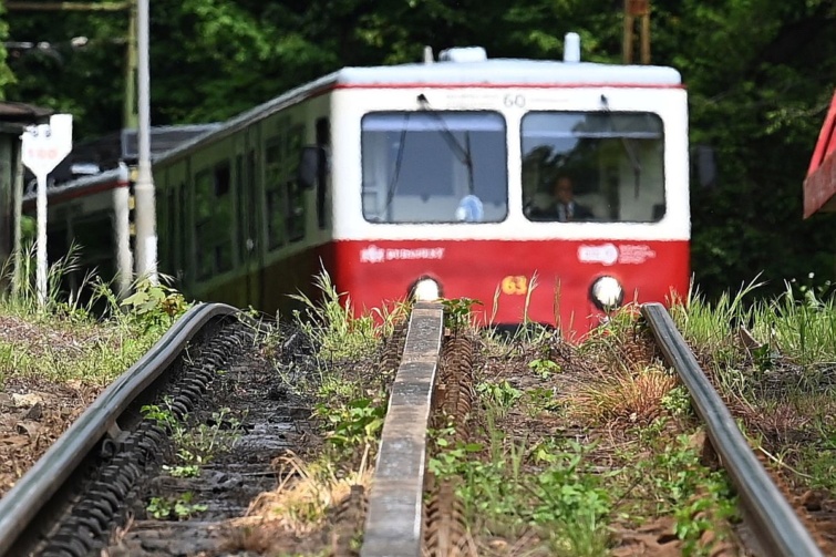 A fogaskerekű vasút SGP (Simmering-Graz-Pauker) gyártmányú szerelvénye érkezik a Svábhegy állomásra 2022. május 3-án.