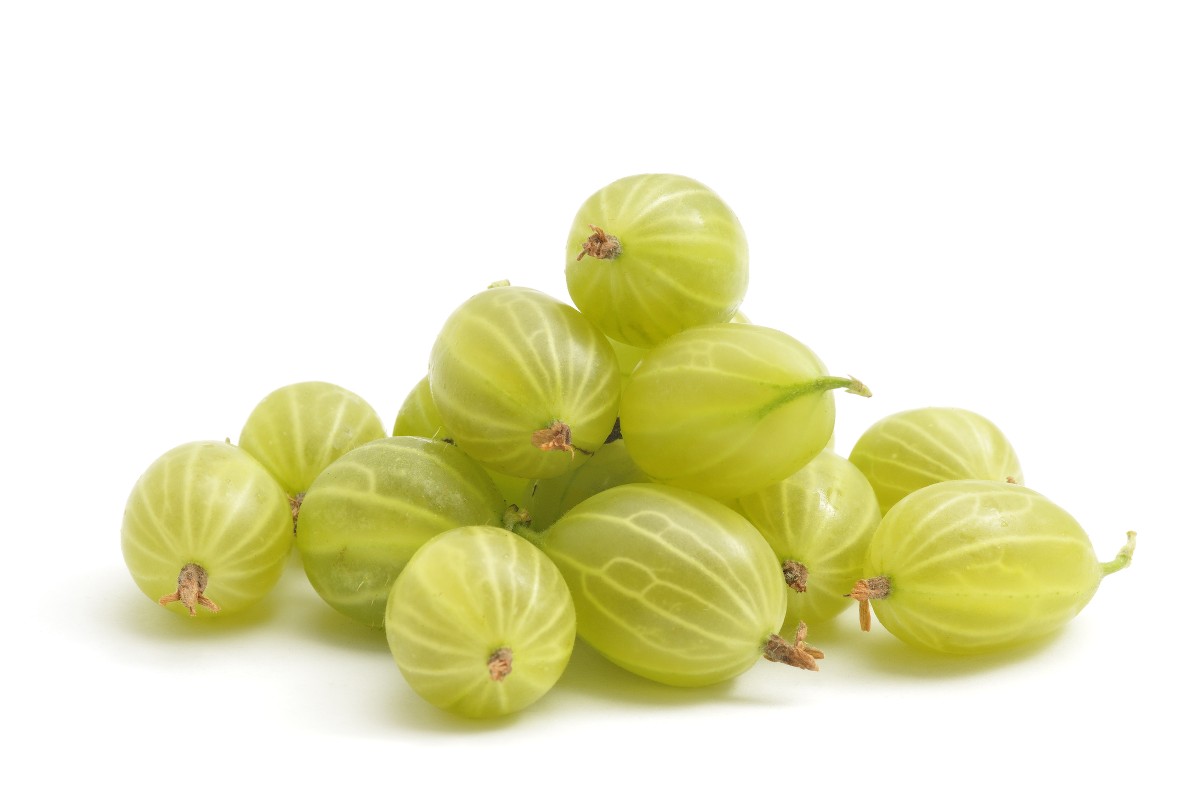 Egzotikus ízű és rendkívül egészséges a szeder