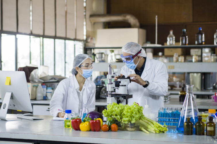 Kutatók ételekkel kísérleteznek egy laboratóriumban