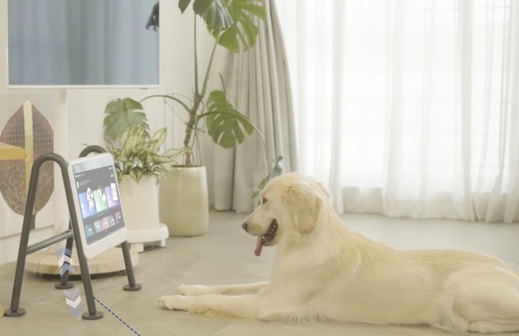 Introducing DOGSPLAY The Ultimate Entertainment Device for Dogs Pre