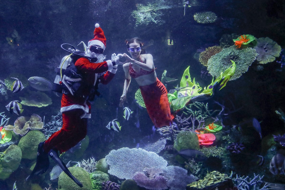 Mikulásruhába és hableánynak öltözött búvárok úsznak a halak között a bangkoki Sea Life tengeri akváriumban 2022. december 21-én.