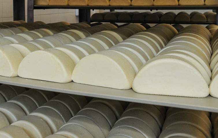 Félkör alakúra formázott sajtok.