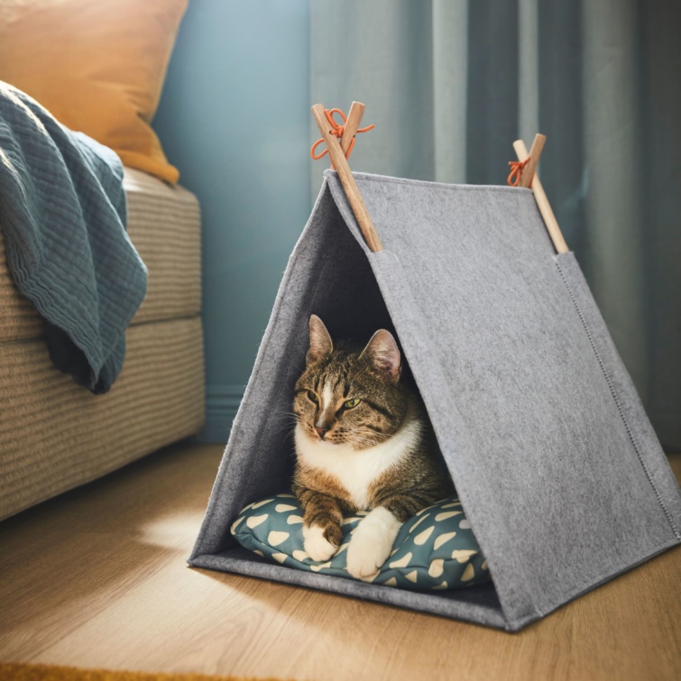 Egy macska fekszik egy sátorban.