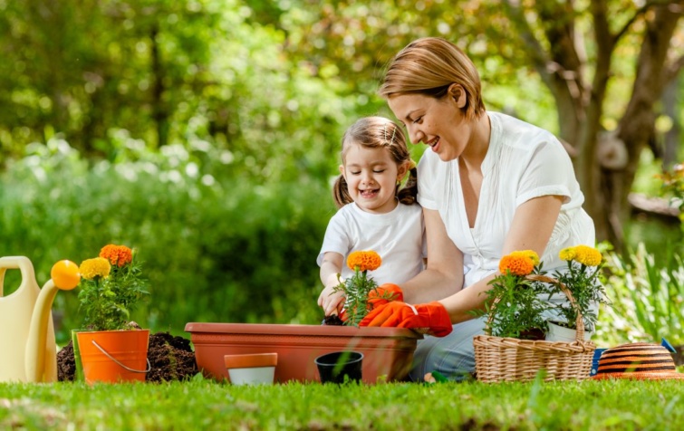 Egy nő és egy kislány virágot ültetnek a kertben.