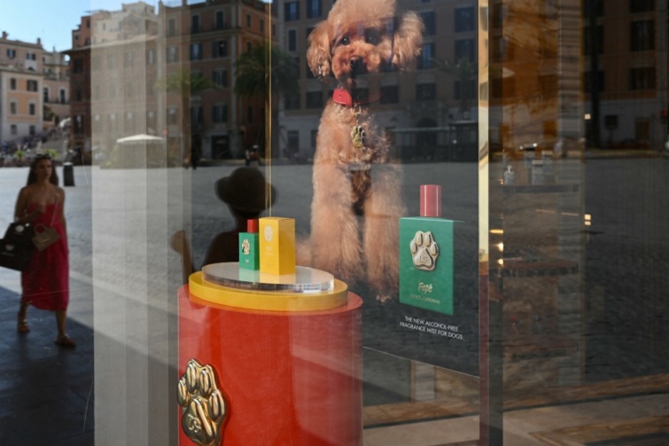 ITALYECONOMYLUXURYDOLCE GABBANAPERFUMEDOG Startlap Vásárlás