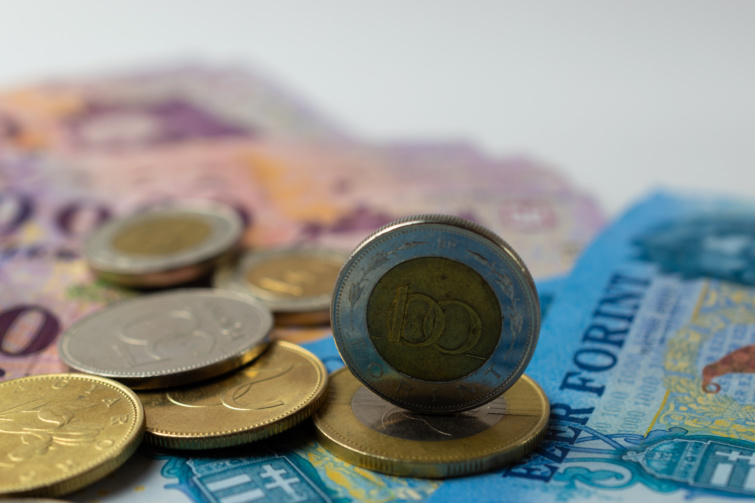 Van ilyen százforintos a tárcádban Százezreket érhet Startlap Vásárlás Forint érmék