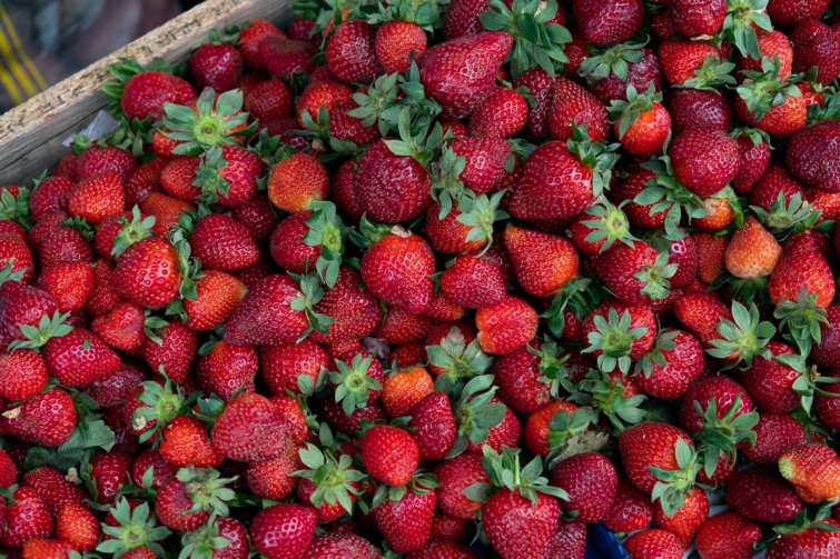 Eperszemek ládában