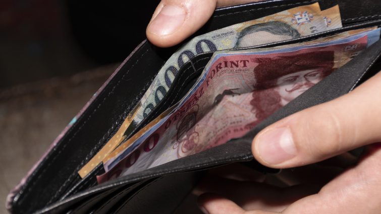 Pénztárcában bankjegyek