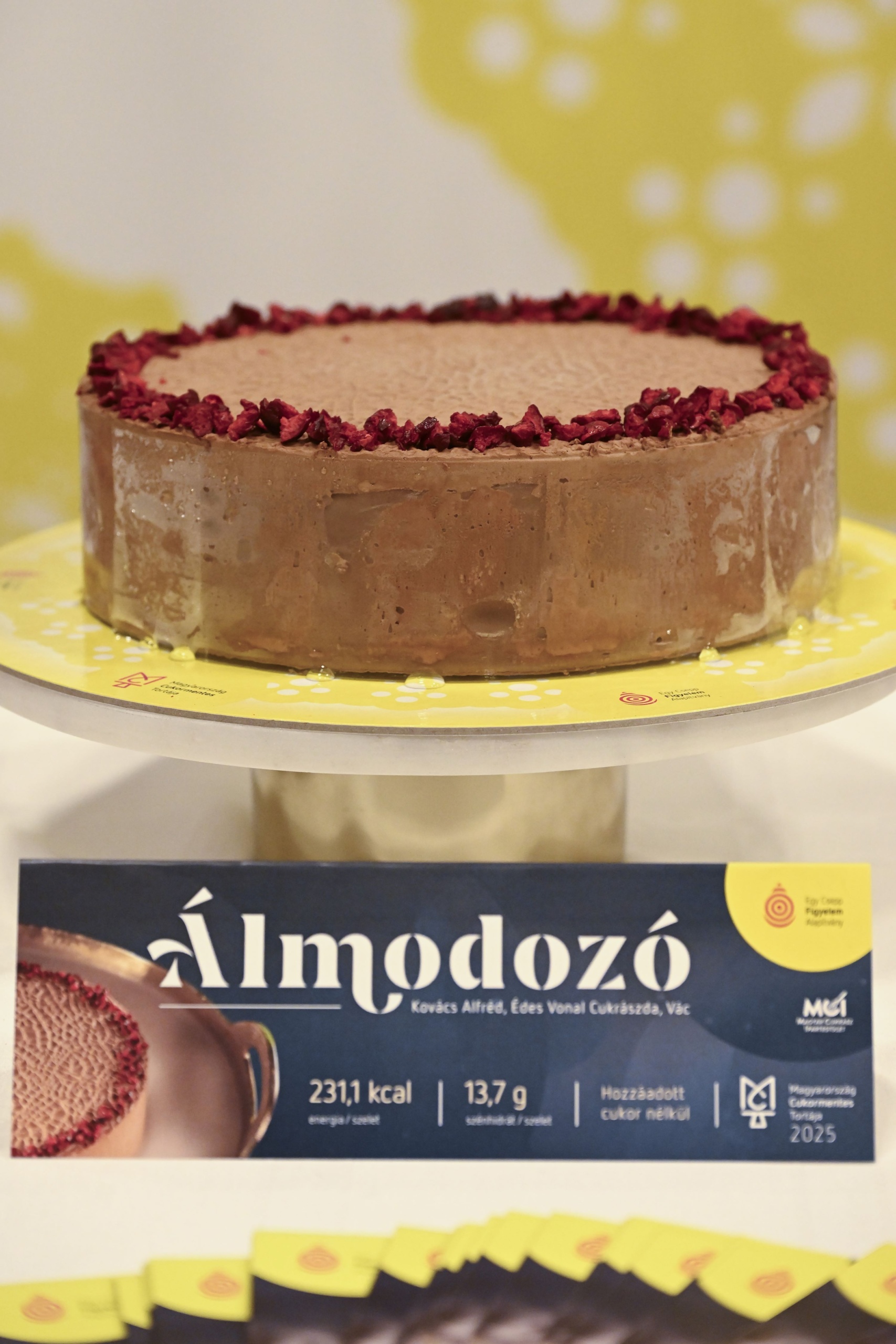 Az Álmodozó torta, Magyarország cukormentes tortája